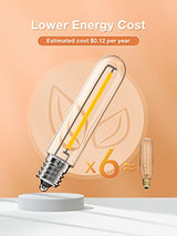 LED Replacement Bulbs 1W T13, 4 Pack Waterproof E12 Screw Base for Outdoor LED String Lights Shatterproof, for Indoor and Outdoor Use